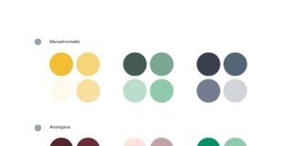 Psychology : A beginner’s guide to choosing your brand colors