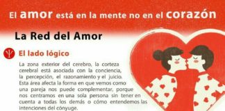 Psychology : Amor
