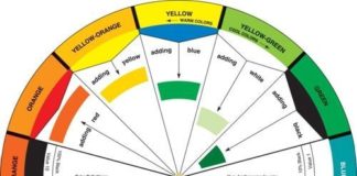 Psychology : COLOR WHEEL 5.125 Inch Tool 3501
