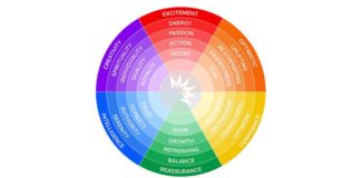 Psychology : Color Theory 101: A Beginner’s Guide