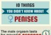 Psychology : PENIS-1.INFOGRAPHIC