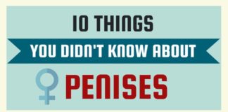 Psychology : PENIS-1.INFOGRAPHIC