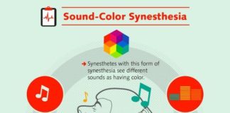 Psychology : Psychology : Bankstonia, psicologicamenteblog: Source: Understanding the…