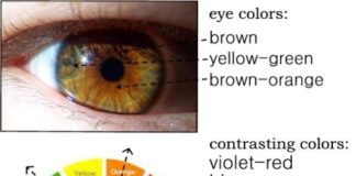 Psychology : Psychology : Color theory… – InfographicNow.com | Your Number One Source For daily infographics & visual creativity