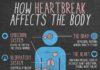 Psychology : Psychology : INFOGRAPHIC: Here’s How Heartbreak Affects The Body According To Science – www…