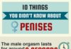 Psychology : Psychology : Psychology : Psychology infographic and charts PENIS-1.INFOGRAPHIC… Infographic Descr