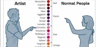 Psychology : Psychology : Psychology infographic and charts Psychology : Color theory ;)… Infographi