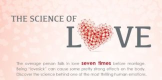 Psychology : Psychology : The Science of Love (Infographic