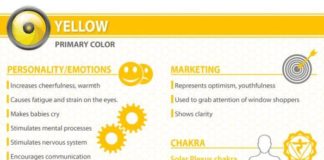 Psychology : Psychology : What Your Logo’s Color Says About Your Company (Infogra