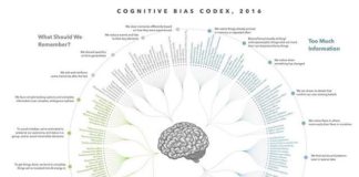 Psychology : #Reflection #Action #wp #in #focus #sales #relationships #respect #facts #awaren…