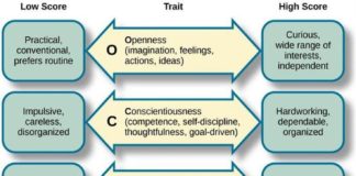 Psychology : The Big 5 Personality Traits [aka, the 5 Factor Model (FFM) || “OCEAN” (or CANOE…