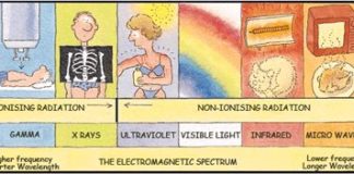 Psychology : The Electromagnetic Spectrum
