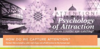 Psychology : The Psychology of Attraction Infographic
