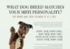 Psychology : What Dog Breed Matches Your MBTI Personality Type?
