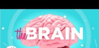 Psychology : infographic the brain in numbers what gives you subjects