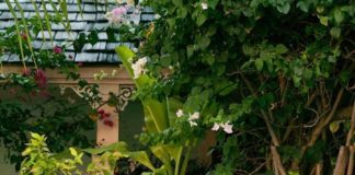 Marketing strategies : 50+ Cheery White Picket Fencing Suggestions You Can Choose