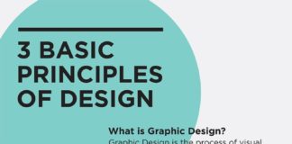 Business infographic : 21 Graphic Designers to Follow on Instagram