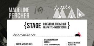 Business infographic : 22 idées de CV créatifs