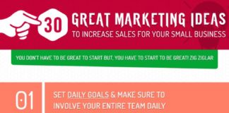 Business infographic : 30 Great Marketing Ideas for Small Business Owners Infographic