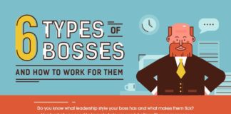 Business infographic : 6 Types of Bosses (And How to Work for Them)