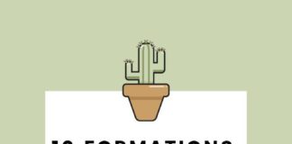 Business infographic : Business infographic : 10 formations gratuites : web, référencement & graphisme