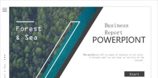 Business infographic : Clean business design PowerPoint template