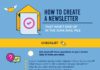 Business infographic : How to Create a Newsletter That Won’t End Up in the Junk Mail Pile