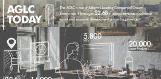 Business infographic : How to use an infographic to promote your business