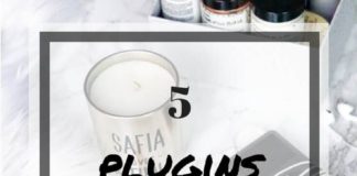 Business infographic : Protéger son site WordPress avec quelques plugins