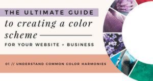 Business infographic : The Ultimate Guide To Creating A Color System For Your Website And Business