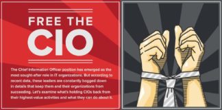 Management : A Day in the Life of the Underutilized CIO (Infographic)