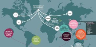 Management : Business and management infographic & data visualisation The Landscape of Migr…