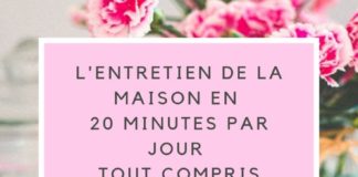 Management : Entretien de la maison en 20 minutes par jour
