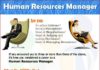Management : How to Become a Human Resources Manager? #HR #HumanResources careerwithonlined…..