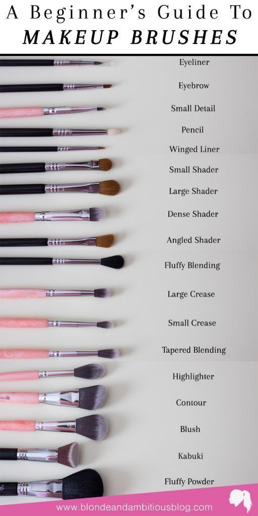 Management : Makeup Brush Breakdown - InfographicNow.com  Your Number 