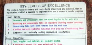 Management : Management : “5S’s LEVELS OF EXCELLENCE. The levels of excellence criteria and check shee…