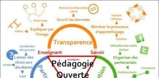 Management : Pédagogie ouverte et triangle de Houssaye