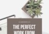 Management : The Perfect Work From Home Schedule with
