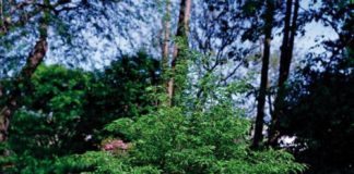 Marketing strategies : 50+ Cheery White Picket Fencing Suggestions You Can Choose