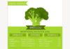 Medical infographic : Medical infographic : Broccoli Nutritional Facts. Graphic Design Infographics