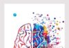 Medical infographic : Right Brain Left Brain Watercolor Print Brain Art Poster Creative Side and Logic Side of the Brain Neurology Art Anatomy Art Illustration