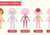 Medical infographic : Scientific medical infographic of girl human systems