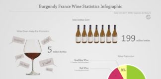 Statistics infographic : Burgundy Wine Statistics [infographic