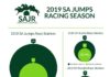 Statistics infographic : Infographic for SAJR