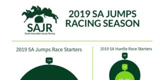 Statistics infographic : Infographic for SAJR