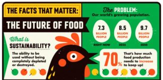 Statistics infographic : The Future of Food–infographic by Tracy Walker for Scholastic. #infographic #su…