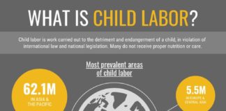 Statistics infographic : What Are the 9 Types of Infographics? (Infographic Templates