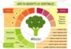 Medical infographic : Cute infographic page of Health Benefits of vegetables. Medical Infographic