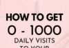 Business infographic : Blog Traffic For Beginners – How To Get 0-1000 Daily Blog Readers