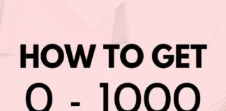 Business infographic : Blog Traffic For Beginners – How To Get 0-1000 Daily Blog Readers